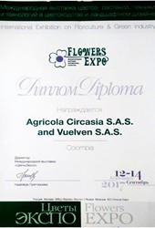 Flower-Expo